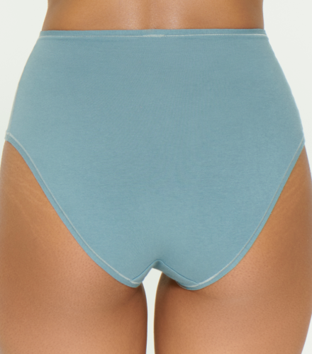 FULL BRIEF