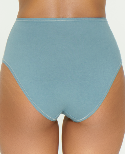 FULL BRIEF
