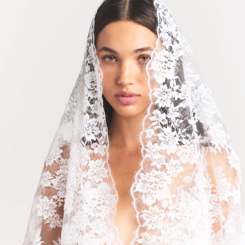 VEIL