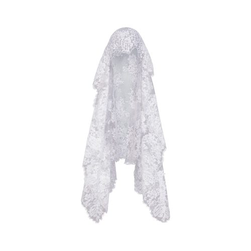 VEIL