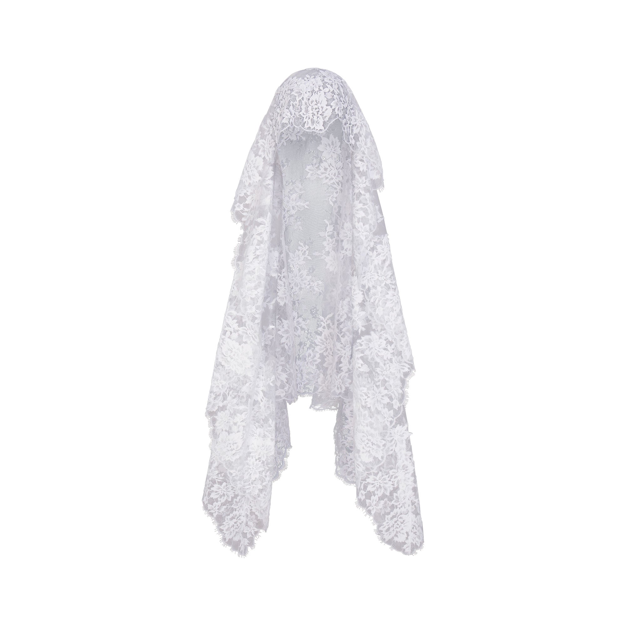 VEIL