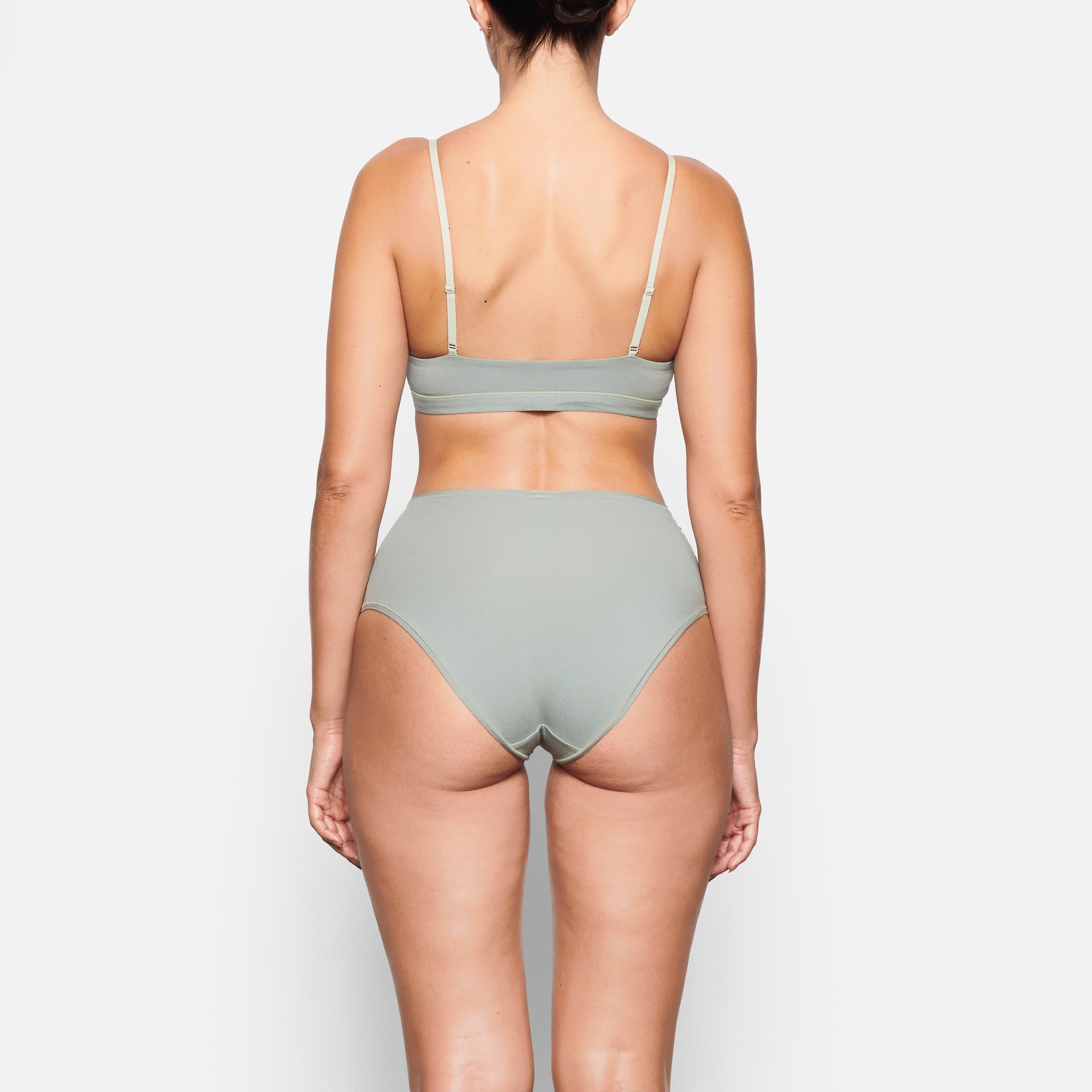 FULL BRIEF