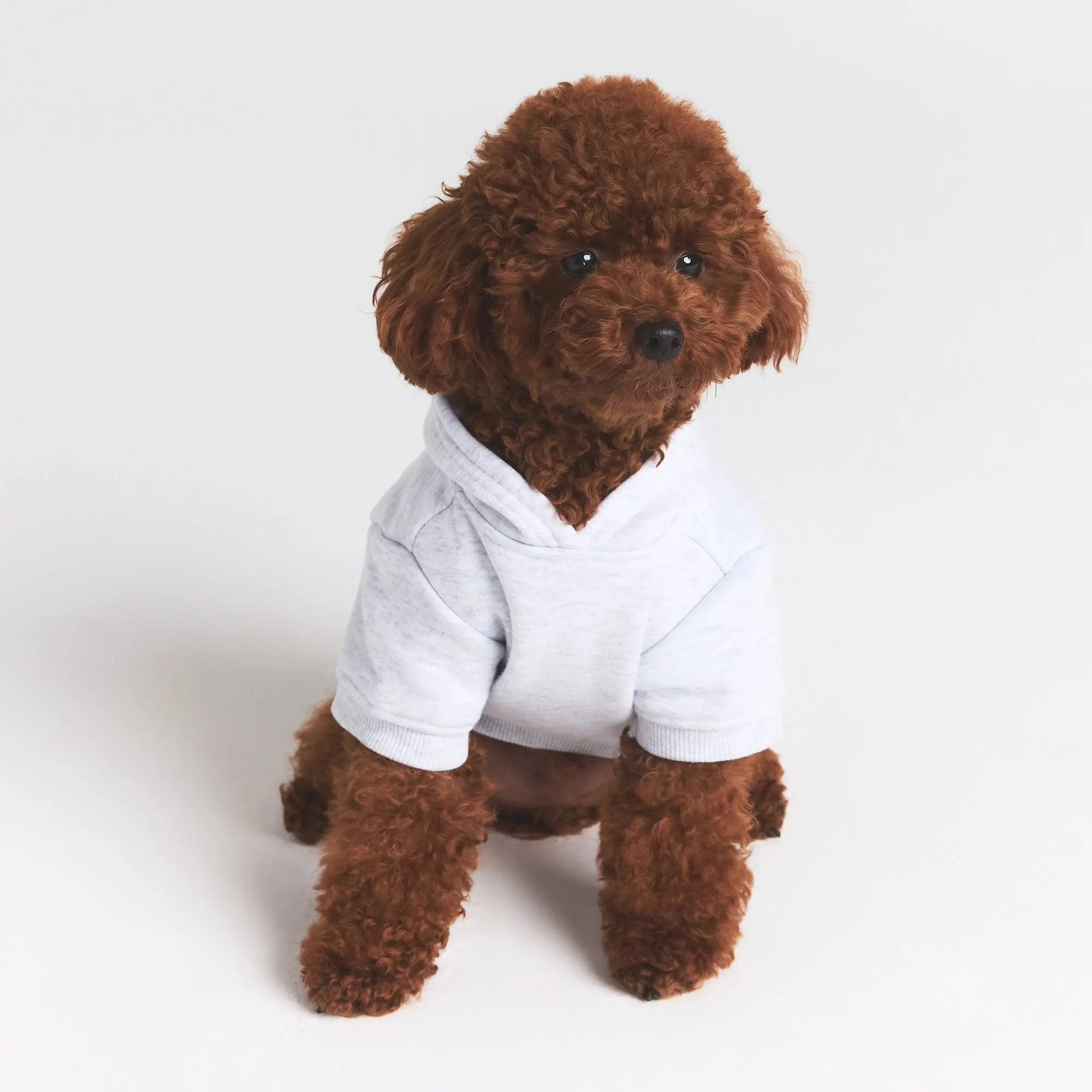 Pet Hoodie - Image 4