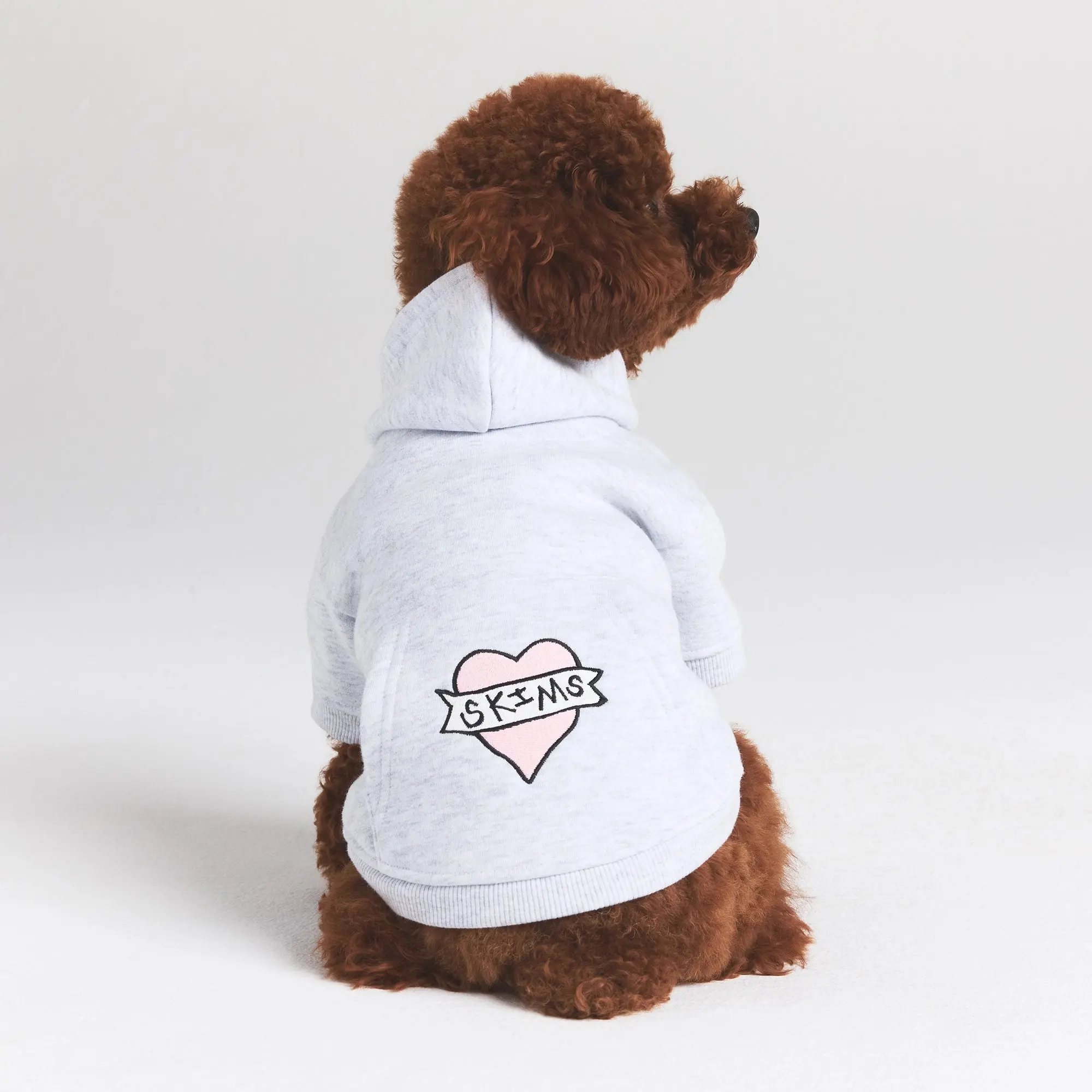 Pet Hoodie